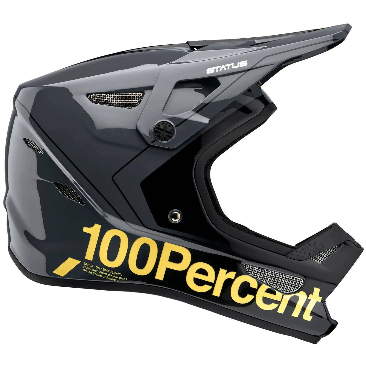 100% Status Youth Full Face Downhill/BMX Helmet - Carby/Charcoal