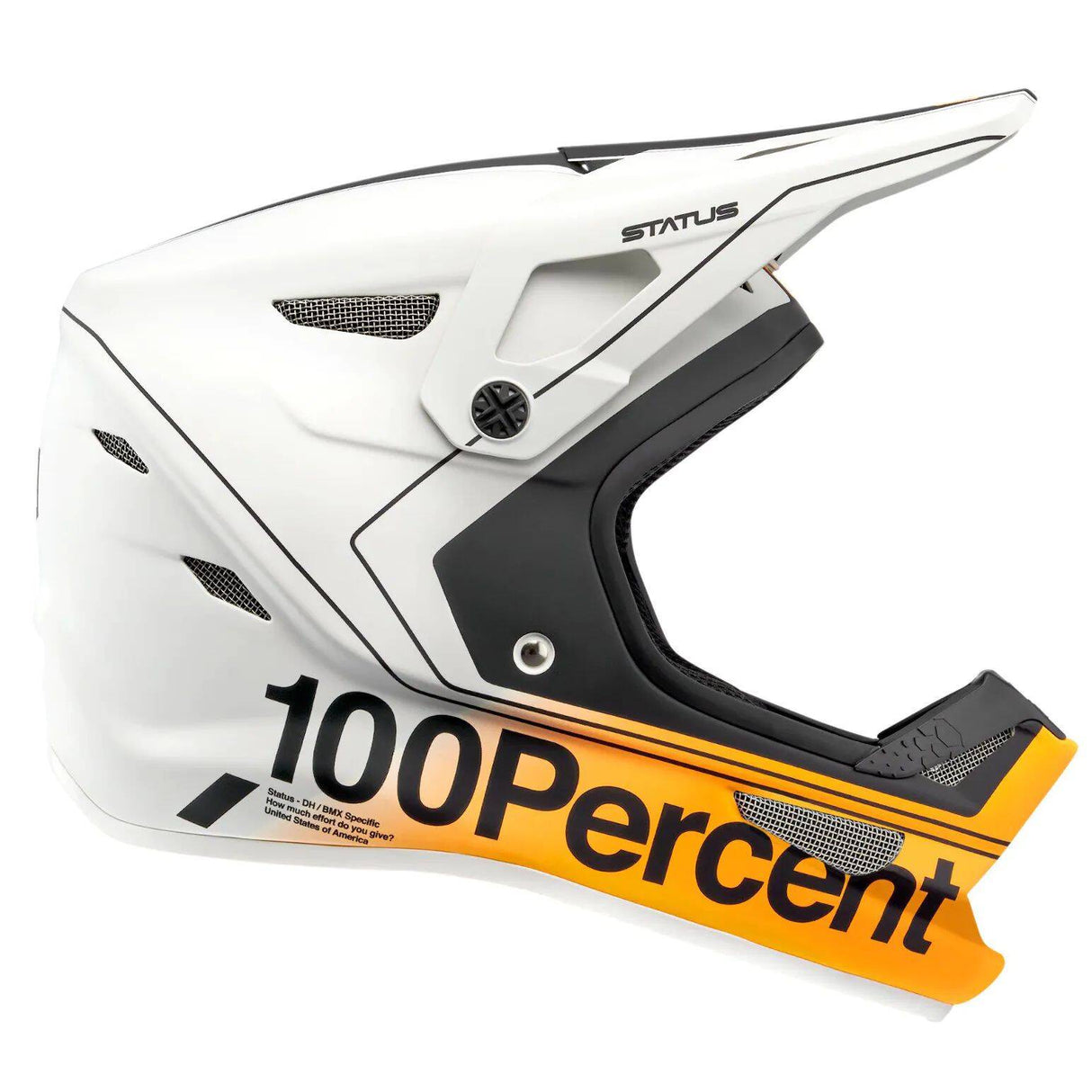 100% Status Full Face Downhill/BMX Helmet - Carby/Silver