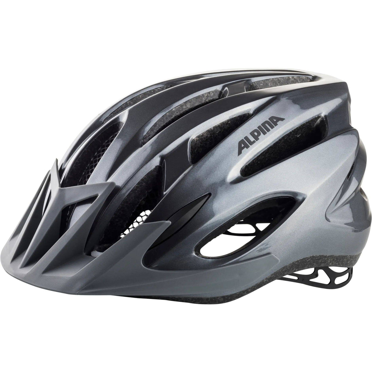 Alpina MTB17 Helmet - Grey