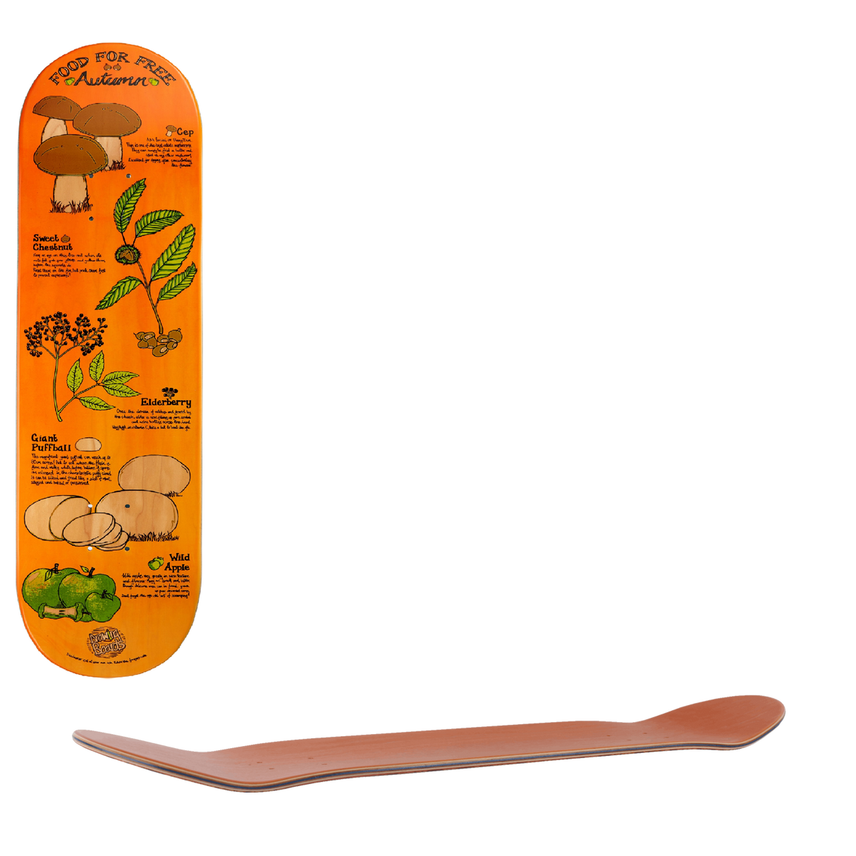 Drawing Boards Food For Free Autumn Skateboard Deck 8.25''