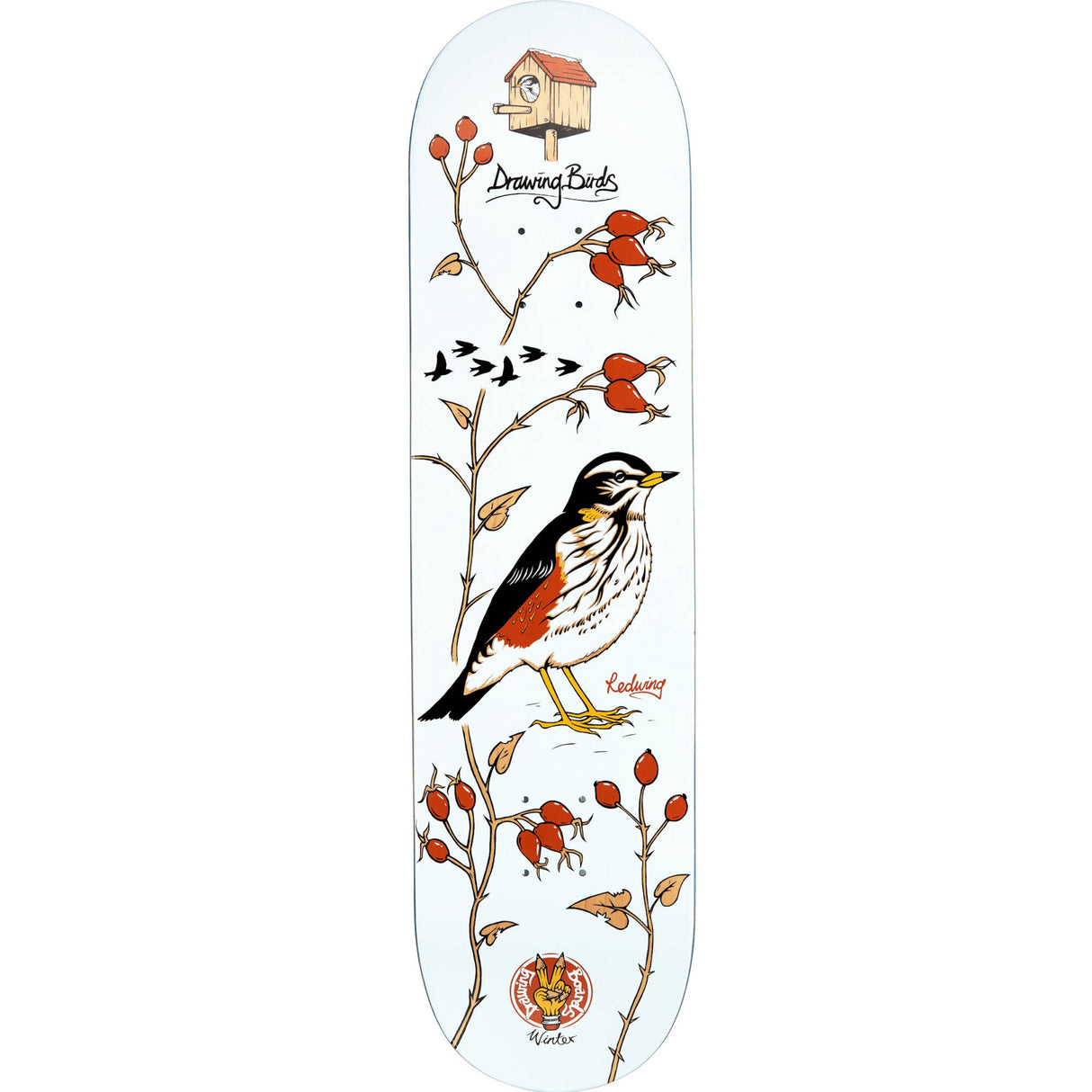 Drawing Boards Birds Series Skateboard Deck - Redwing 8.5"