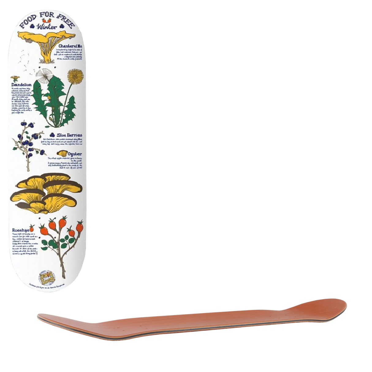 Drawing Boards Food For Free Winter Skateboard Deck 8.5''