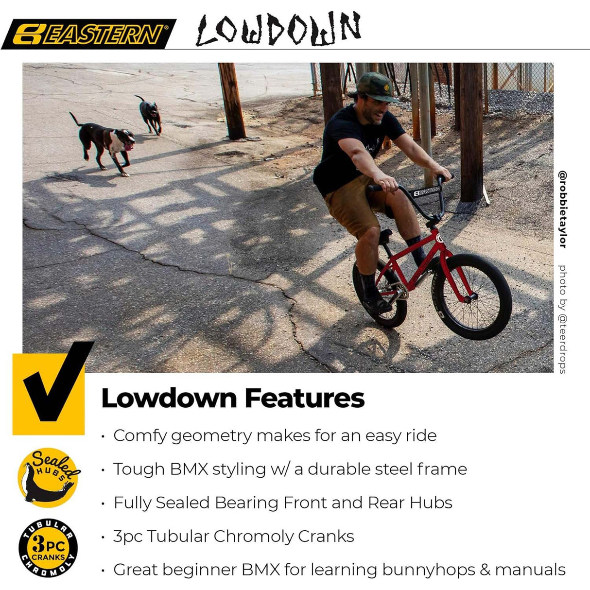 Eastern Lowdown 20" Complete BMX - Blue