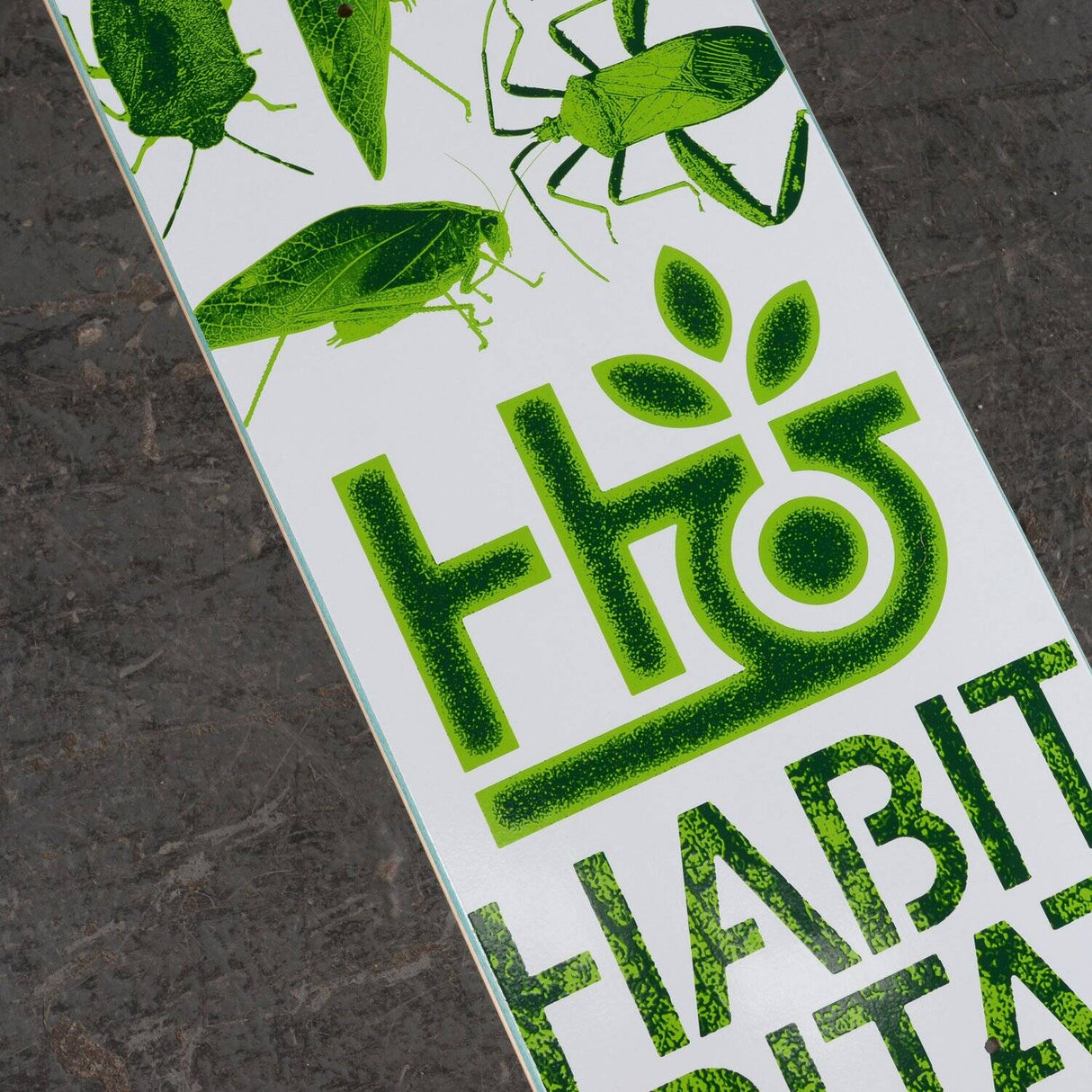 Habitat Insecta Skateboard Deck - Green 7.75