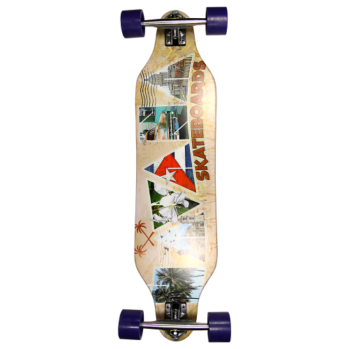 Havana Gemini Top Mount Snapshot Complete Longboard