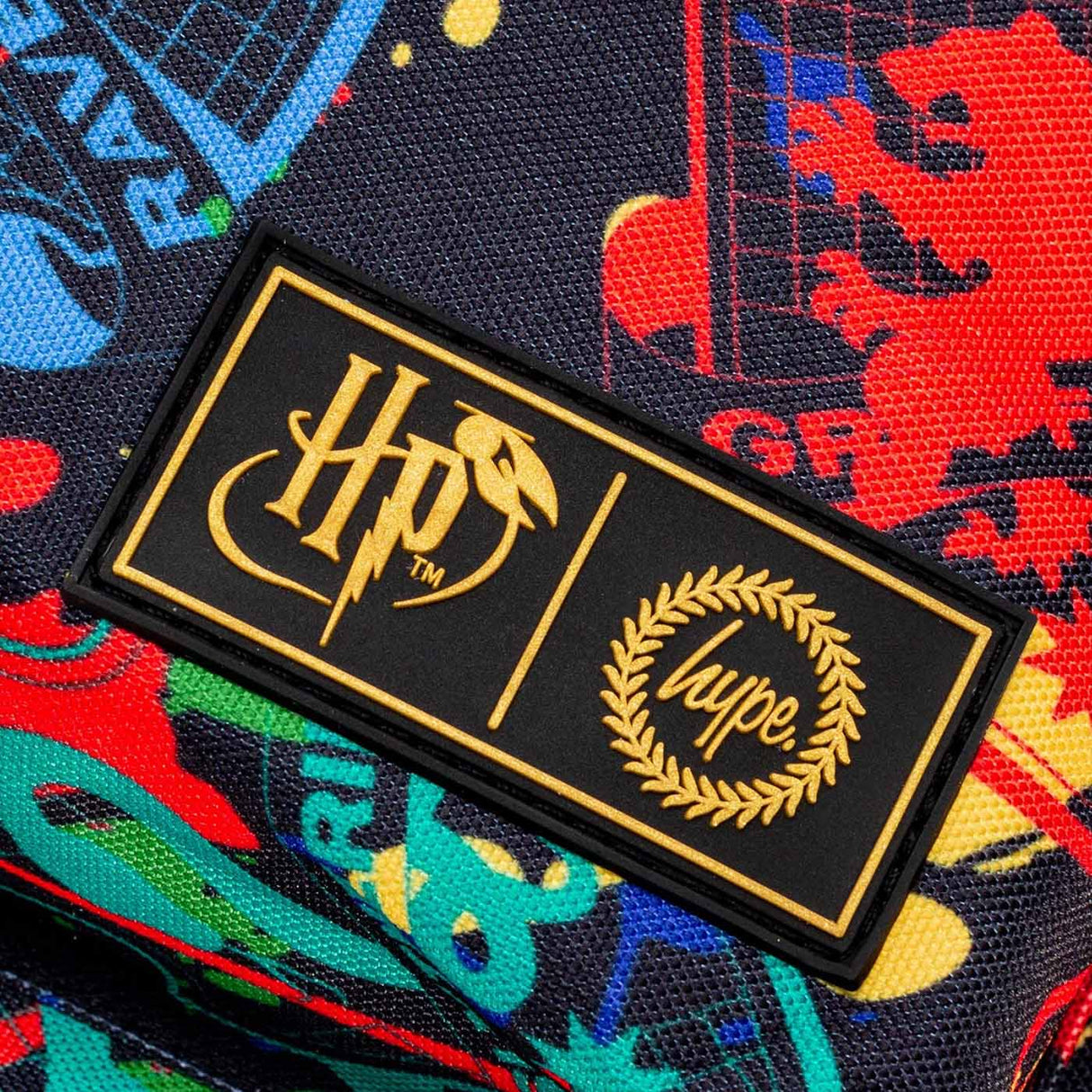 Hype x Harry Potter 18L Backpack - House Splat