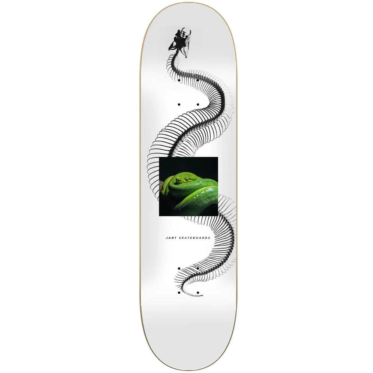 Jart X-Ray Skateboard Deck - 8''