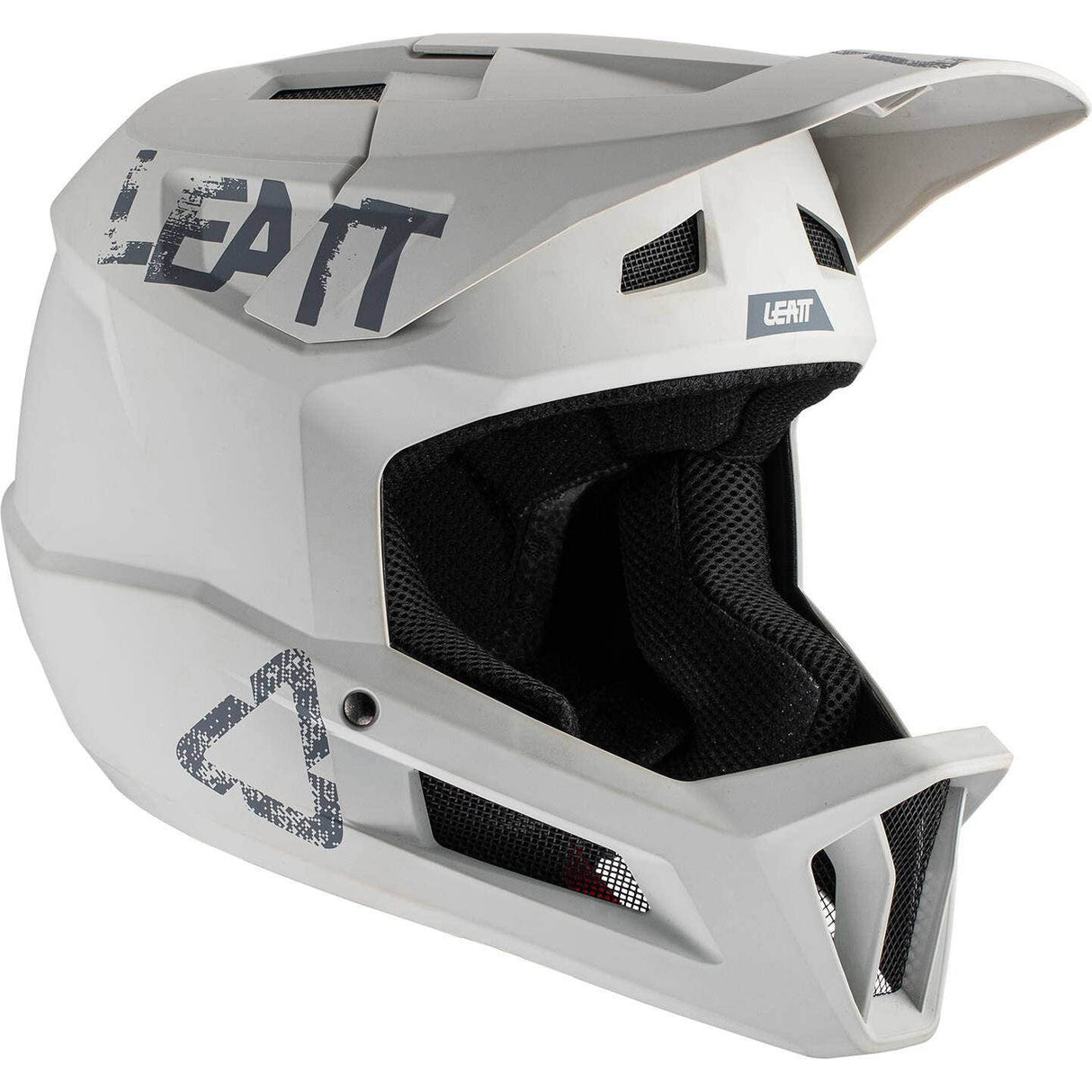 Leatt MTB 1.0 DH Full Face Helmet - Steel