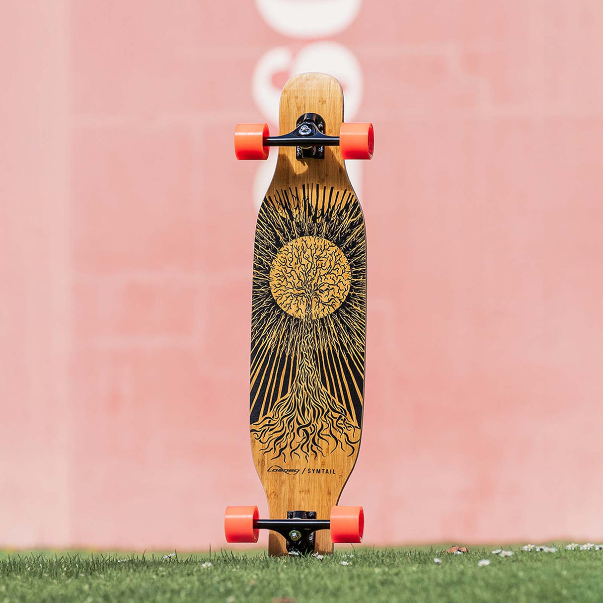 Loaded Symtail Complete Longboard Flex 2