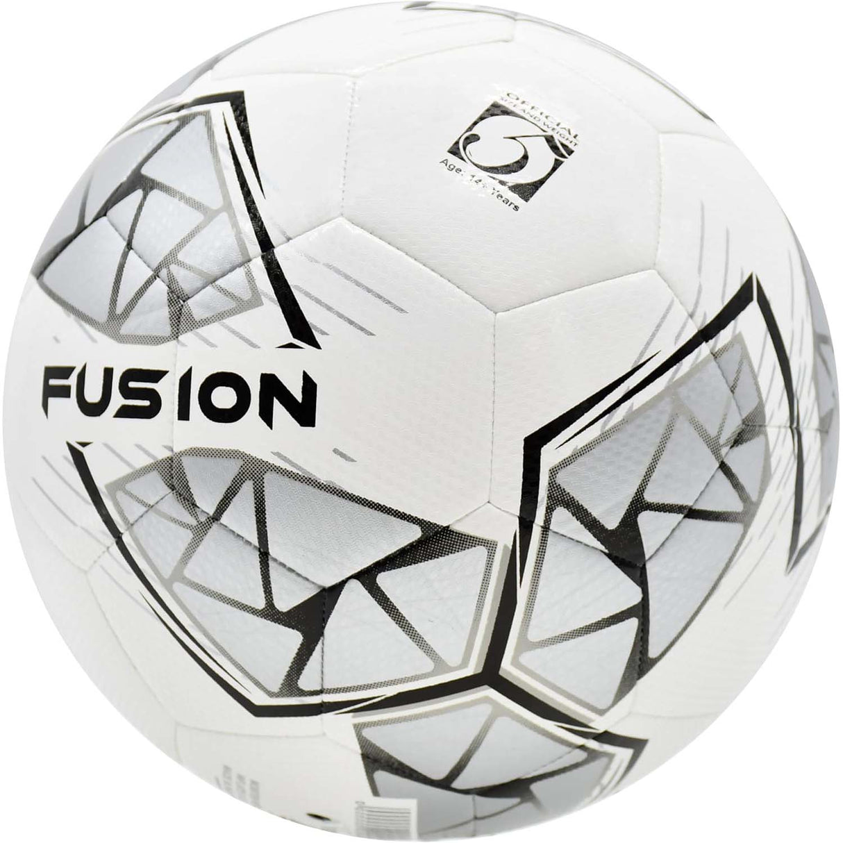 Precision Fusion FIFA Basic Training Size 5 Football - White/Silver/Black/White