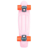 Penny Cactus Wanderlust Complete Cruiser - Pink 22''