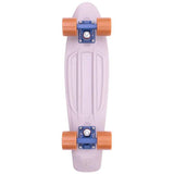 Penny Stone Forest Complete Cruiser - Grey 22''