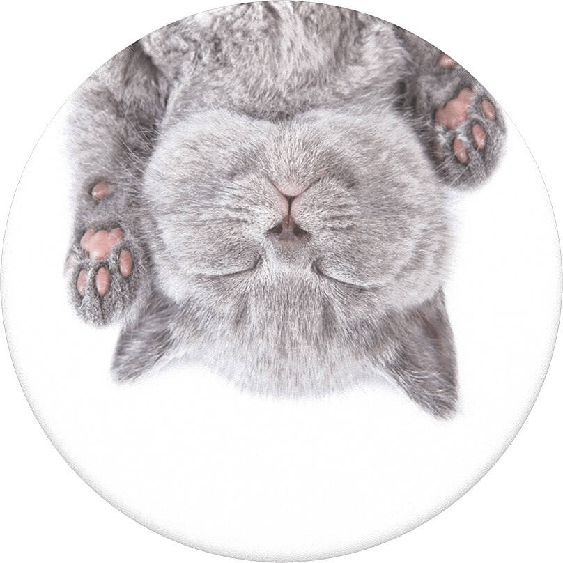 PopSockets Grip - Cat Nap - 2nd Gen