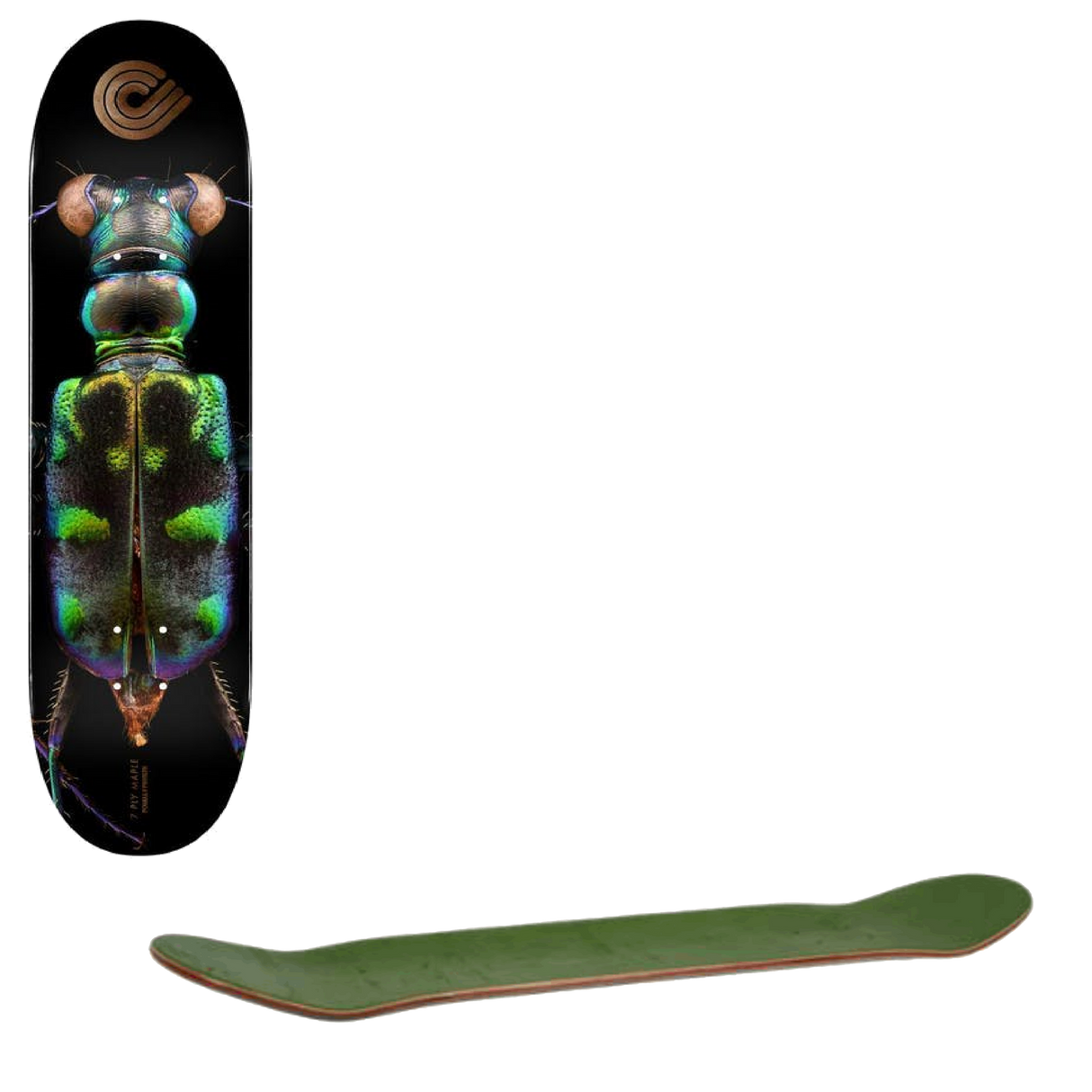 Powell Peralta Levon Biss Tiger Beetle #248 Skateboard Deck - Multi 8.25''