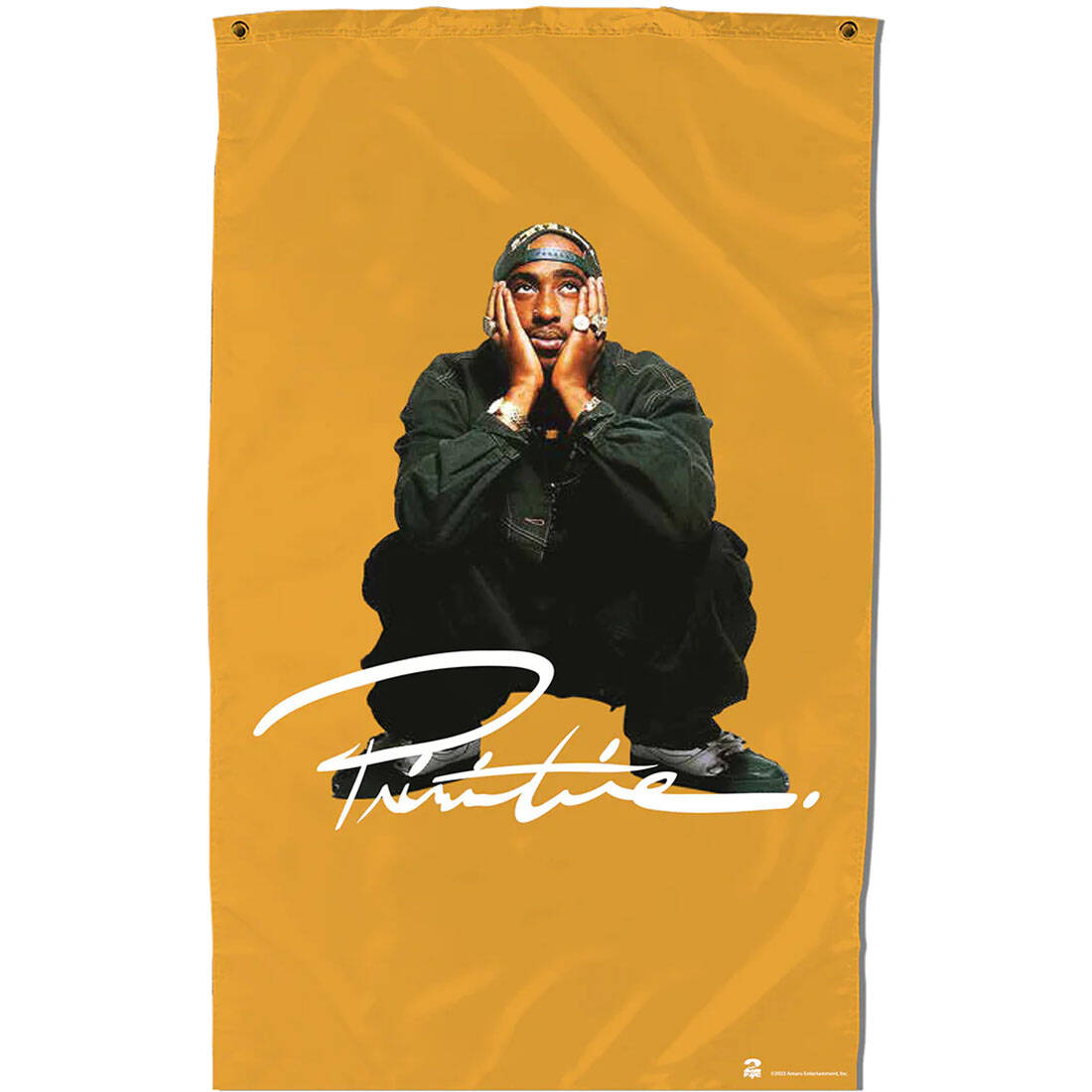 Primitive Shakur Banner - Gold