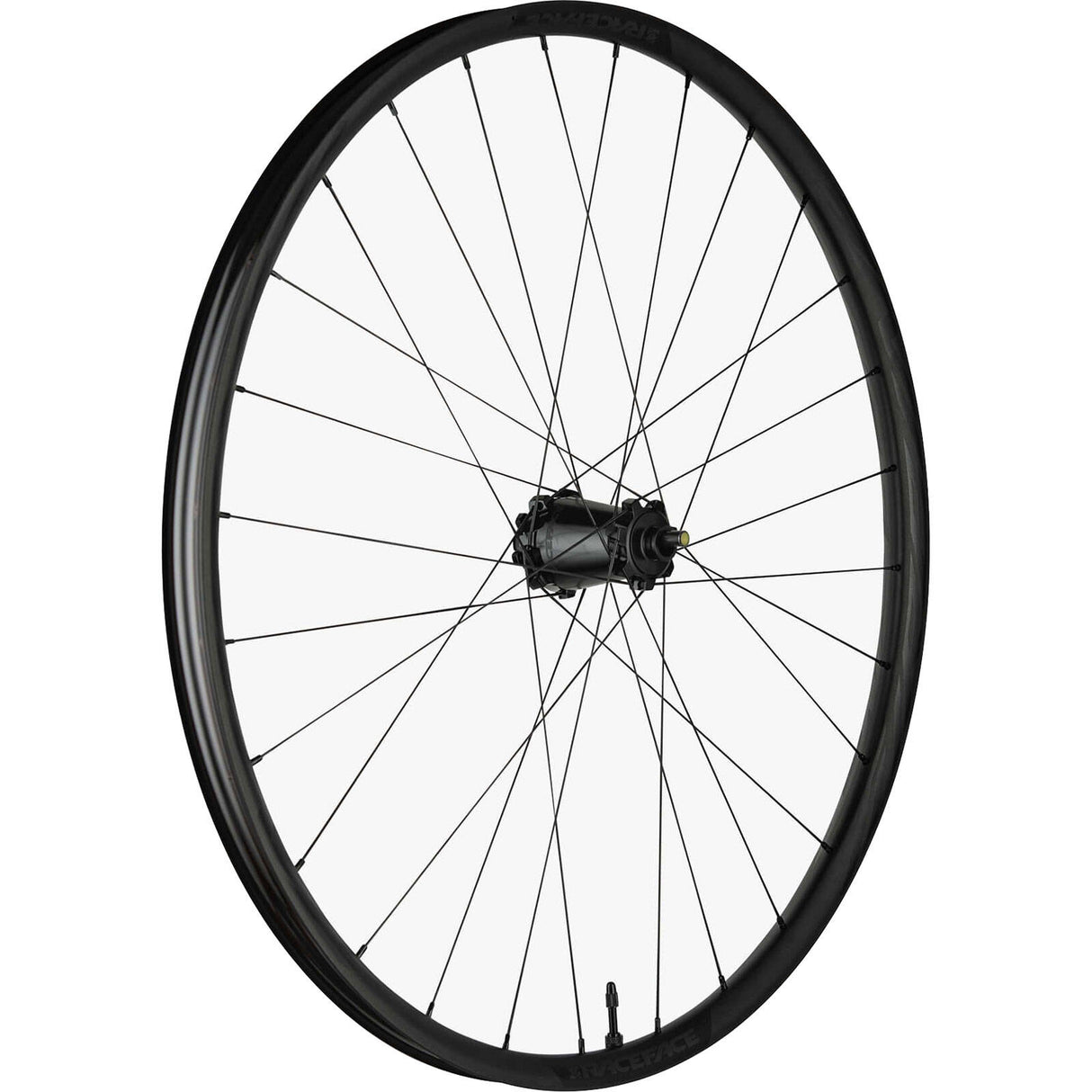 Race Face 2021 Alloy Turbine-R 30mm Rear 12x148 Boost MTB Wheel - 29"