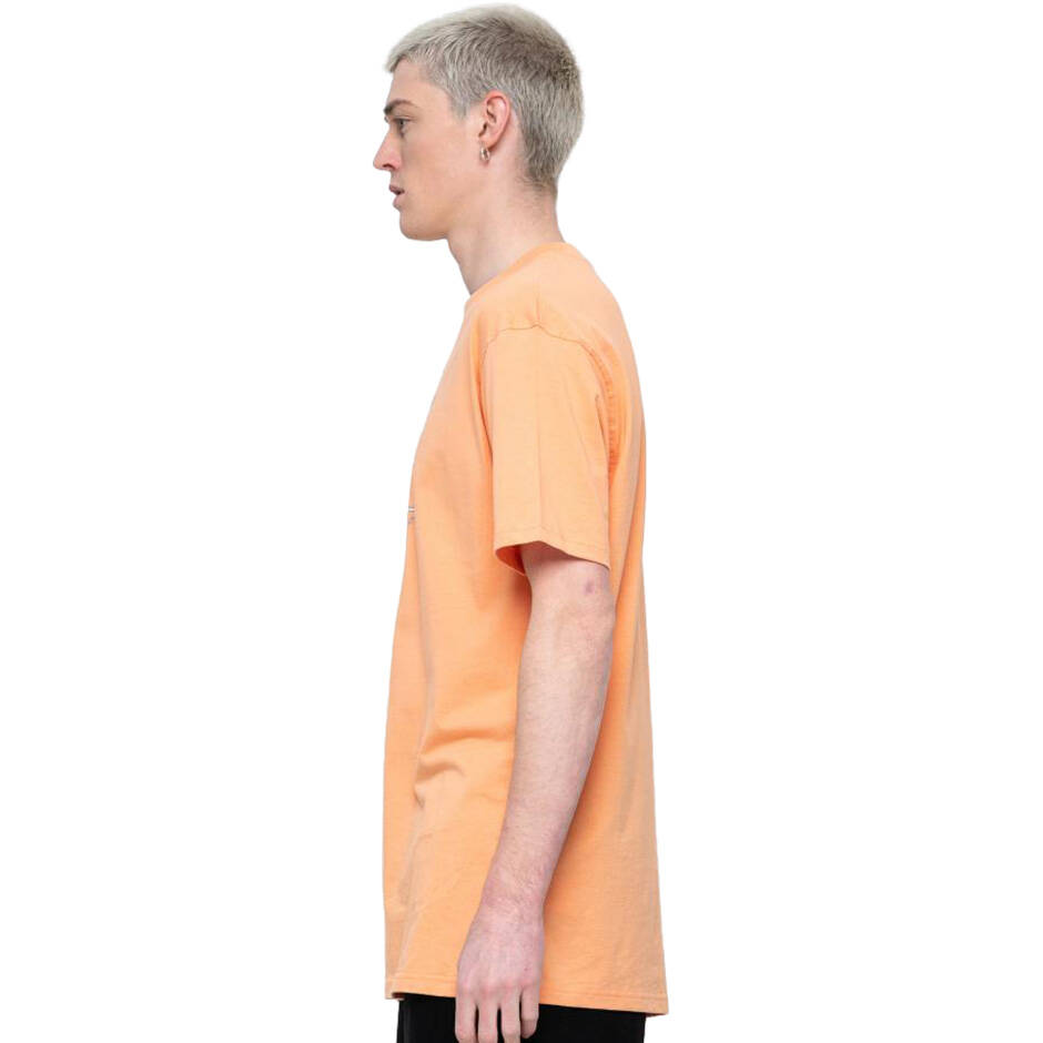 Santa Cruz Lined Not A Dot T Shirt - Rust Oxide