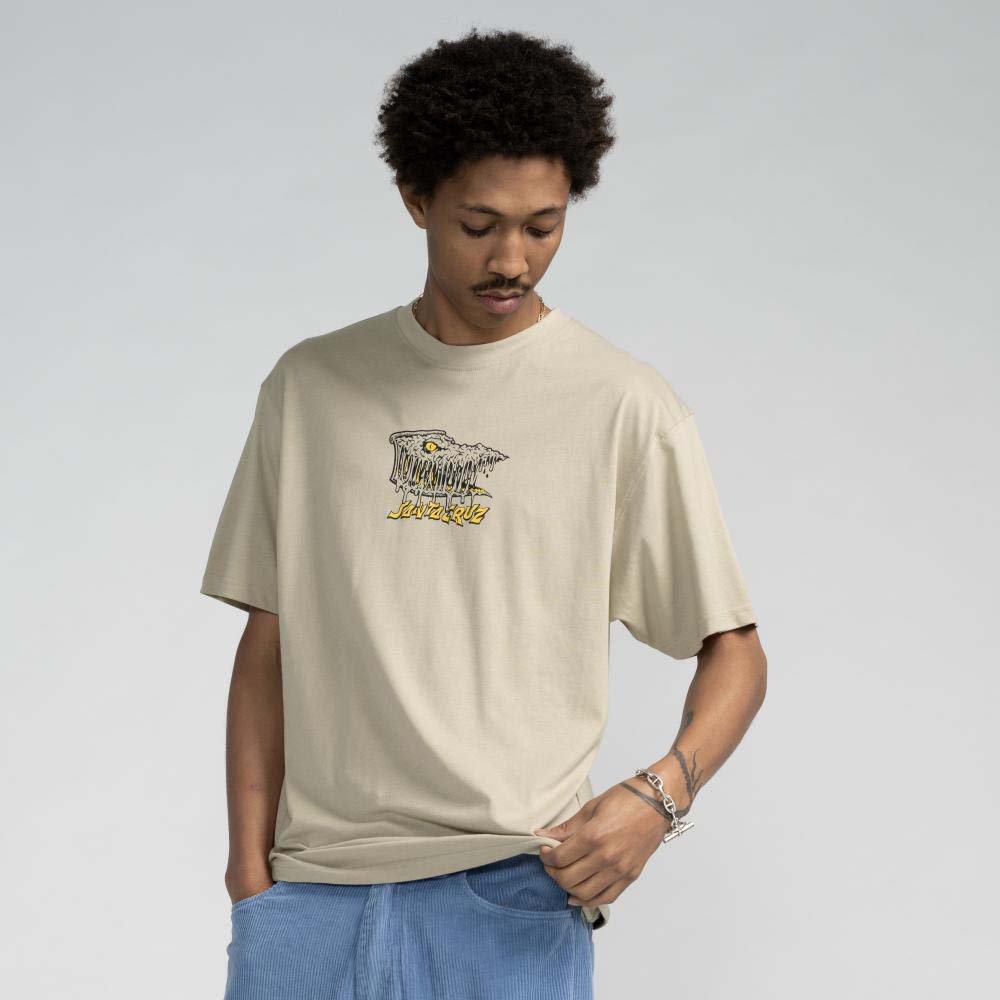 Santa Cruz Braun Fever Dream T Shirt - Stone Grey