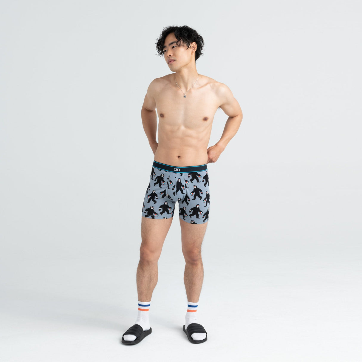 Saxx Daytripper Boxer Briefs - Grey Harry & The Hoops