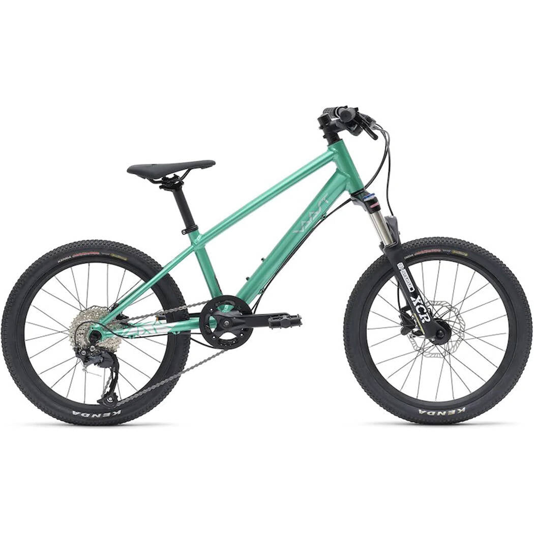 Vaast Y/1 20" Youth Mountain Bike - Gloss Teal