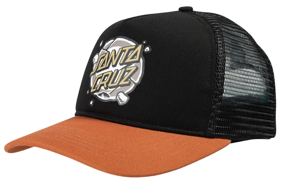 Santa Cruz Classic Skate Cap - Roskopp Destruct Dot