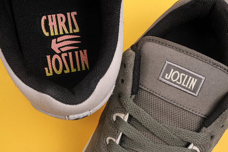 New In Etnies Skate Shoes