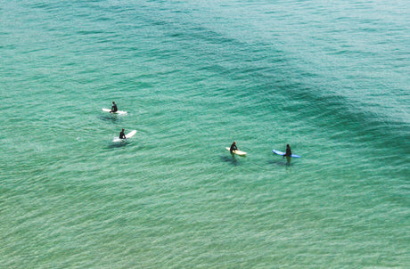 From Streets to Surf: Prepare for a Summer of Riding!