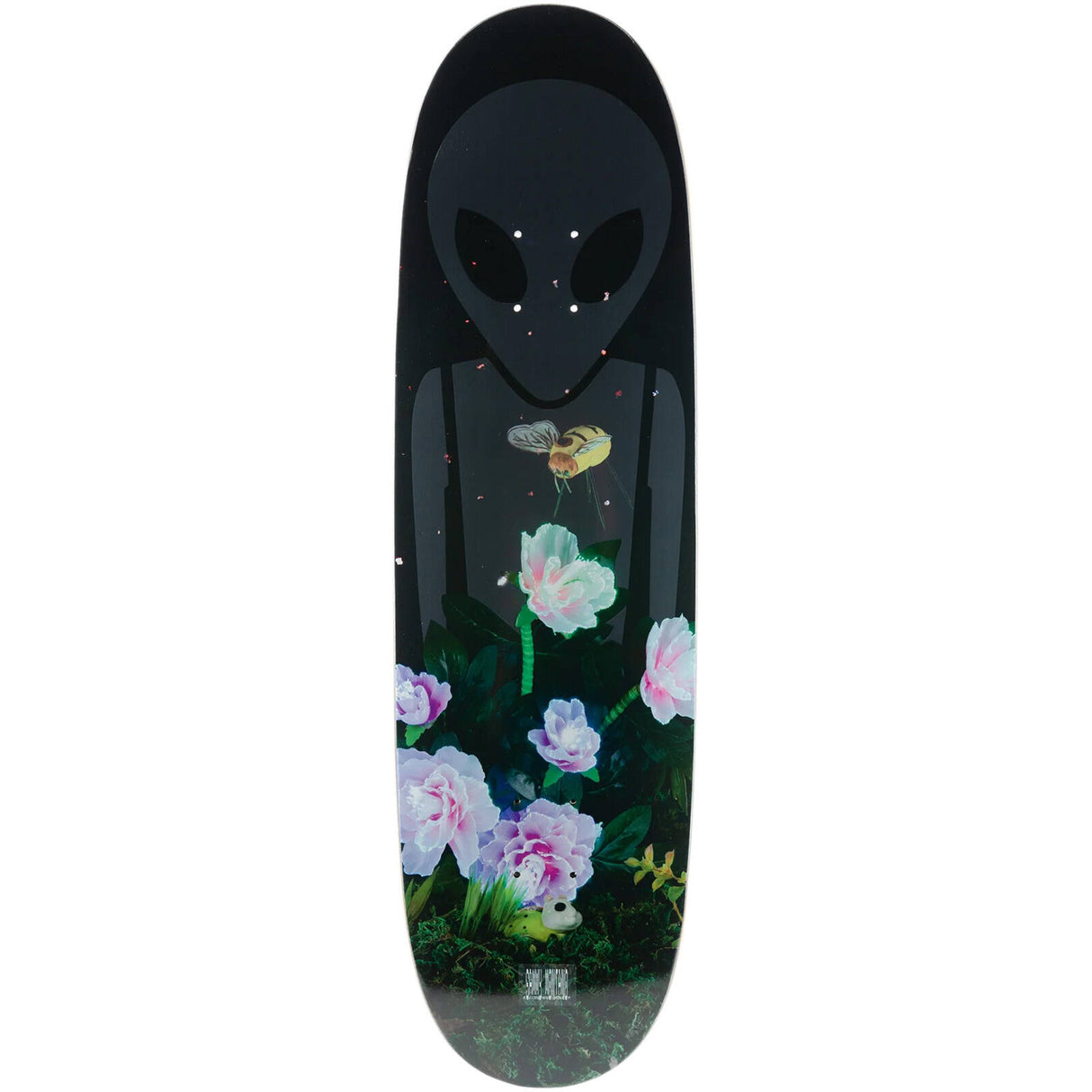 Alien Workshop Midnight Snack Skateboard Deck - Sammy Montano 9"