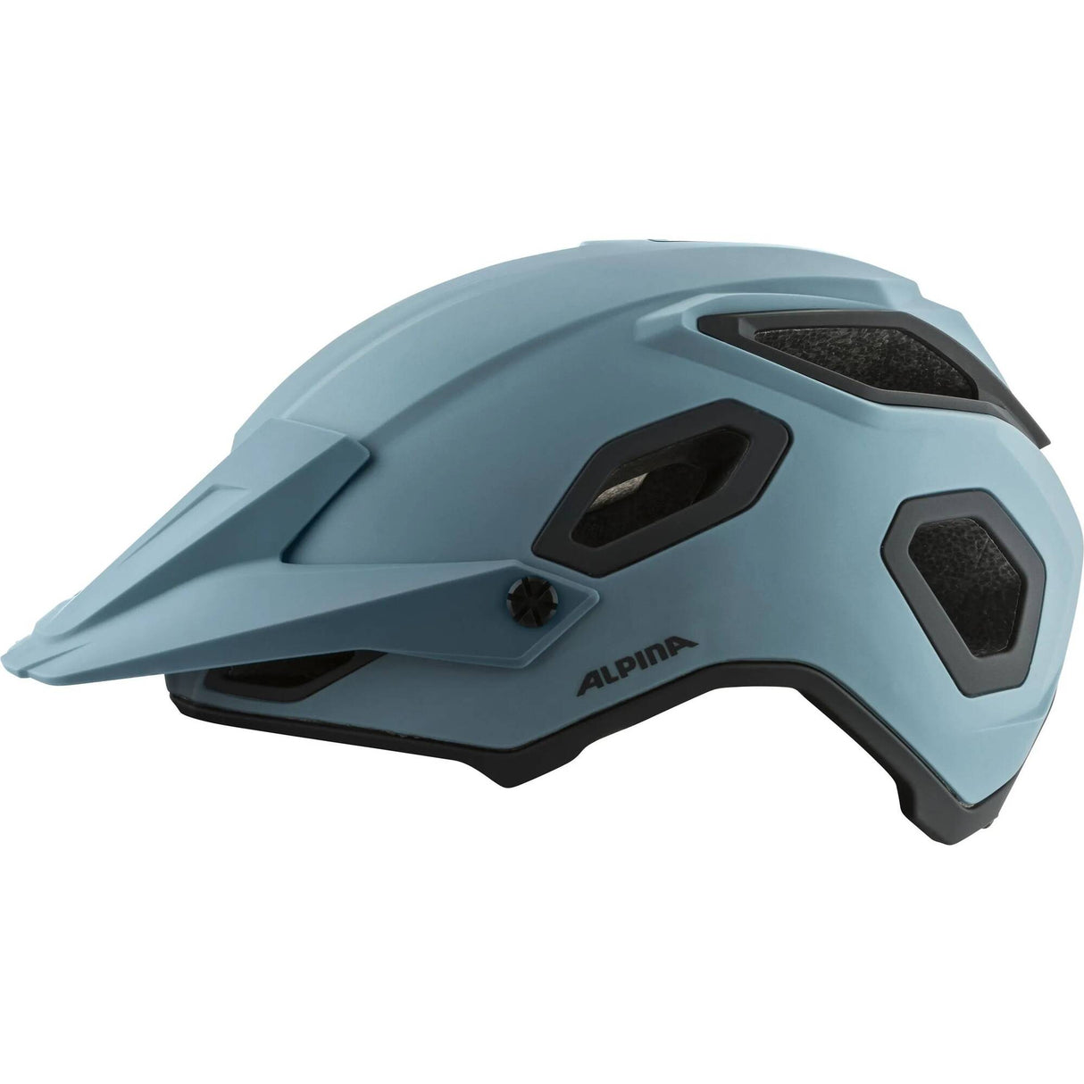 Alpina Comox Bike Helmet - Dirt Blue