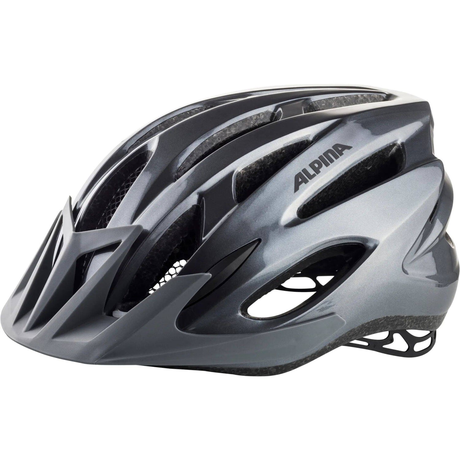 Alpina MTB17 Helmet - Grey