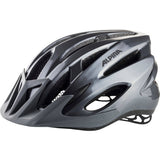 Alpina MTB17 Helmet - Grey