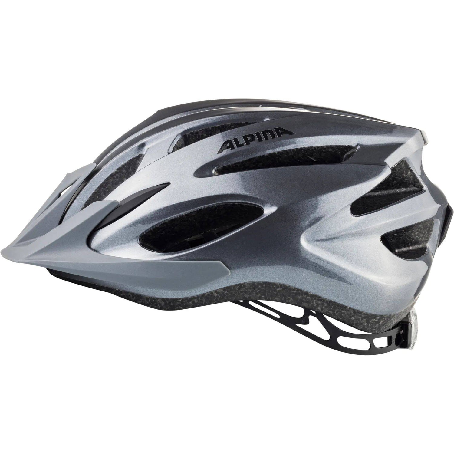 Alpina MTB17 Helmet - Grey