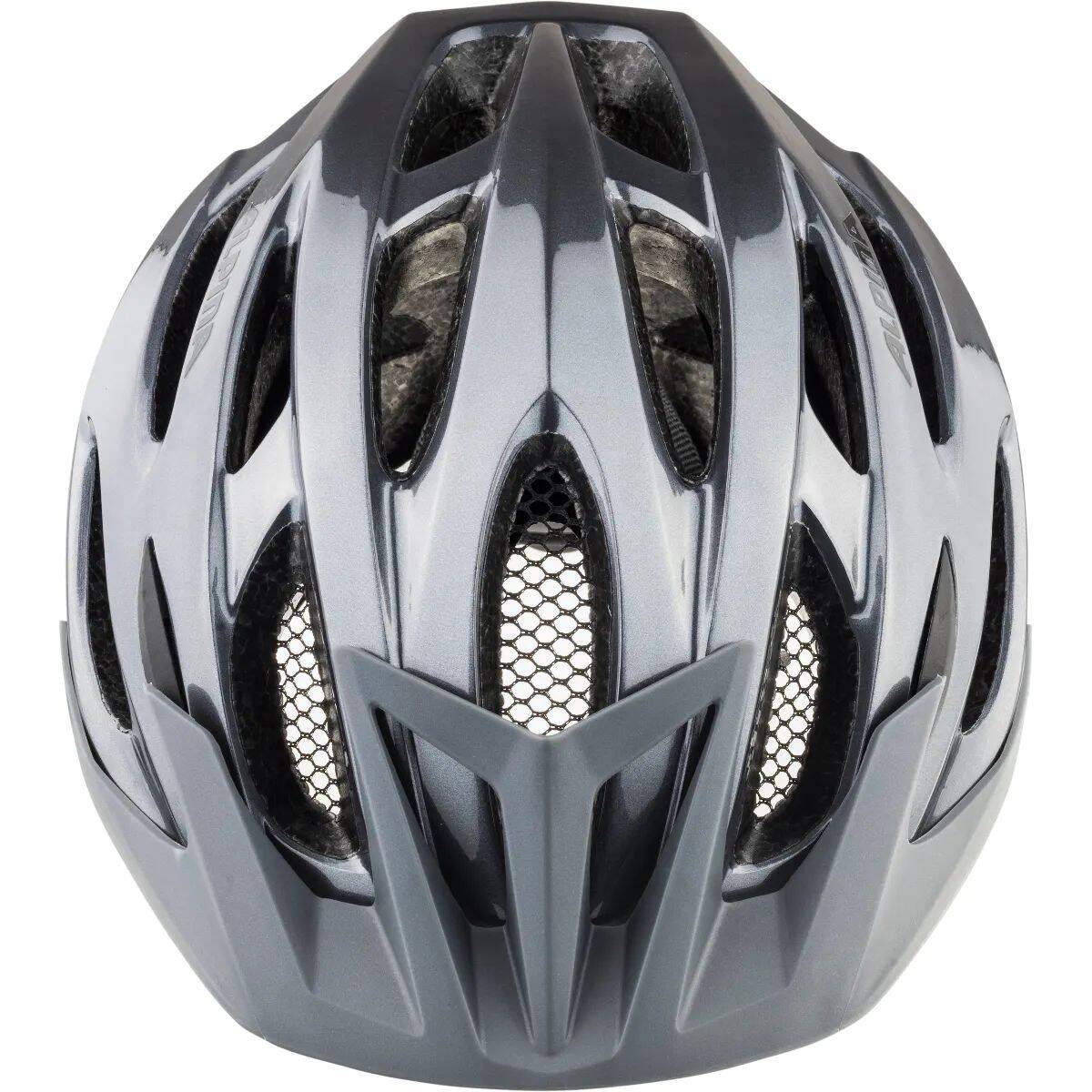 Alpina MTB17 Helmet - Grey
