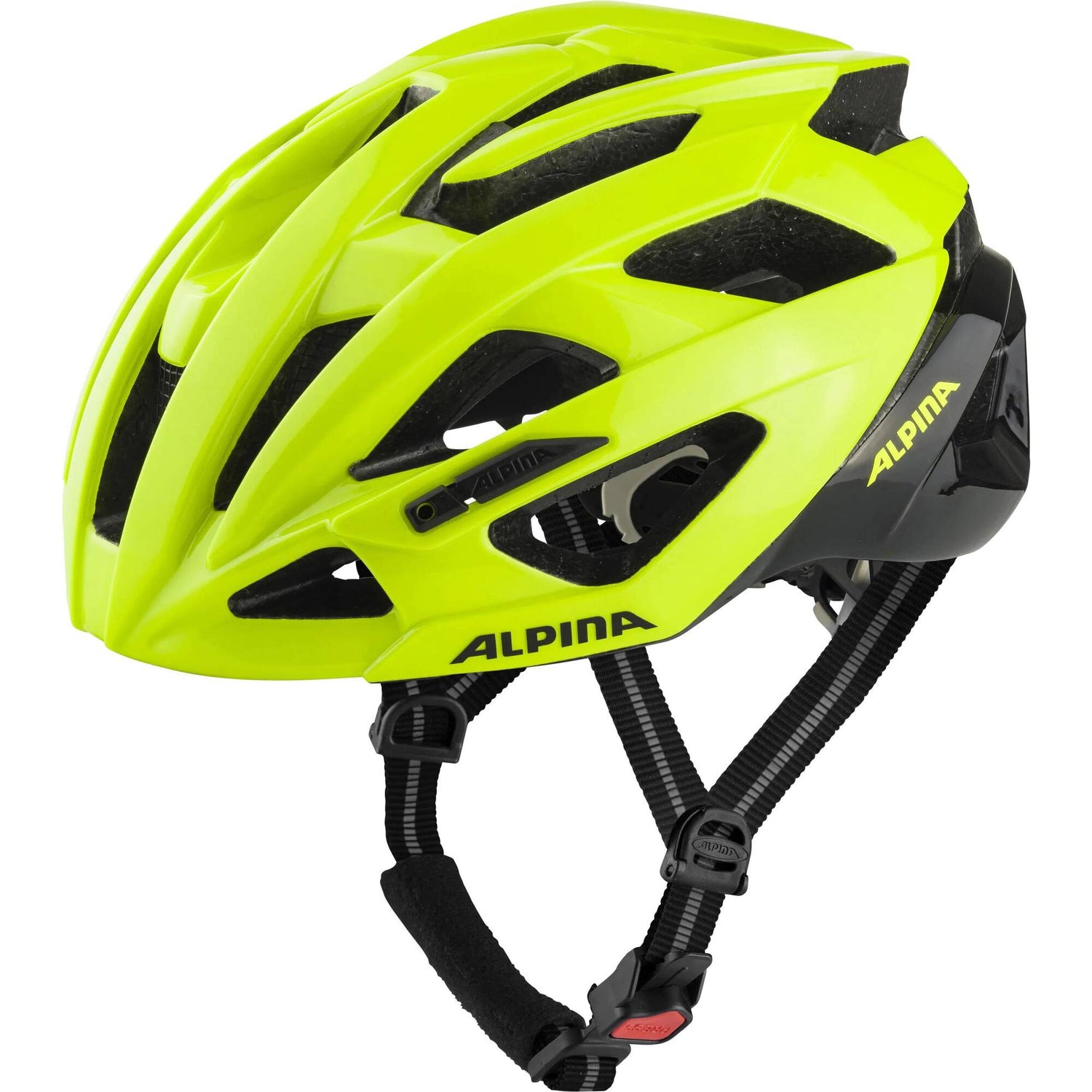 Alpina Valparola Helmet - Be Visible