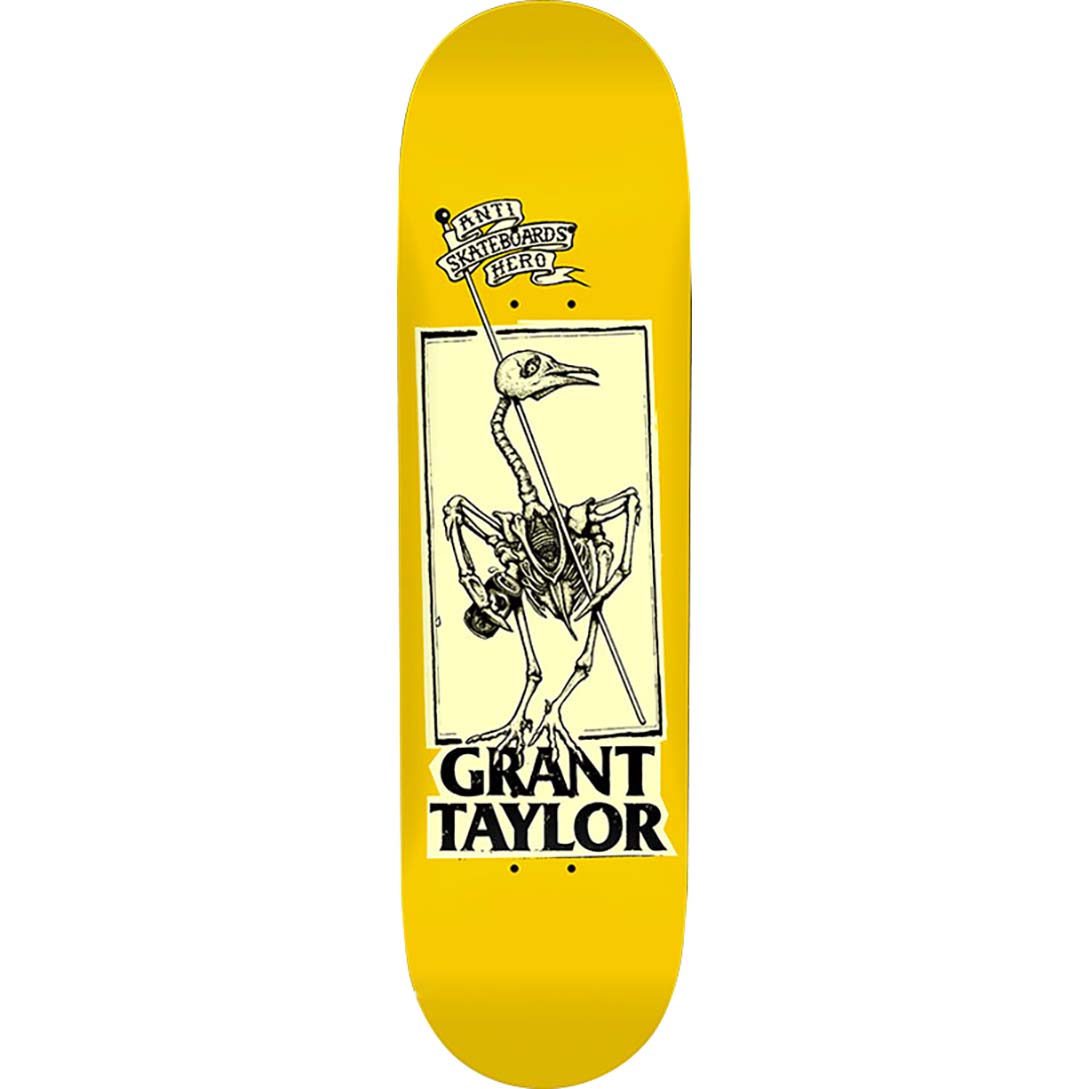 Anti Hero Pigeon Vision Skateboard Deck - Taylor 8.25"