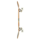 Arbor Foundation Shakedown Cruiser Complete Longboard 34"