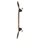 Arbor Shakedown Scorpion Complete Longboard 34"