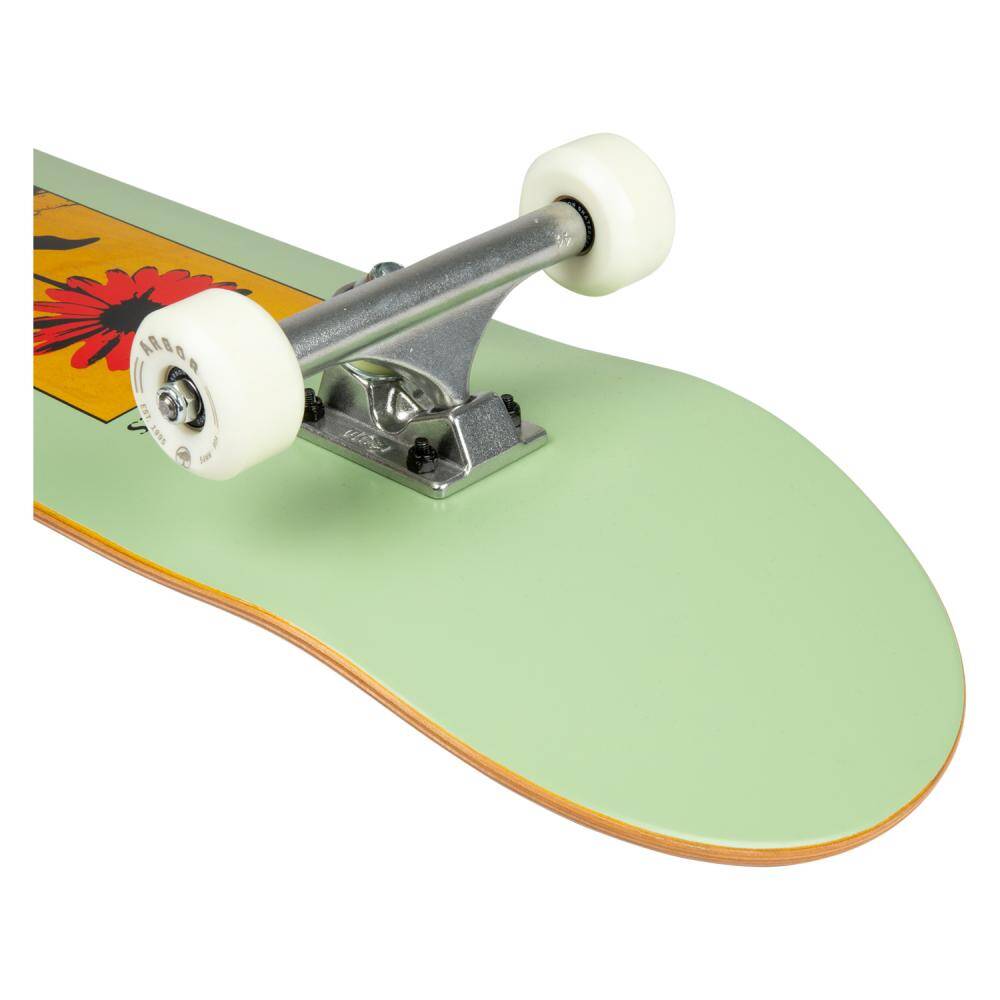 Arbor Street Daisy Complete Skateboard 8.25"