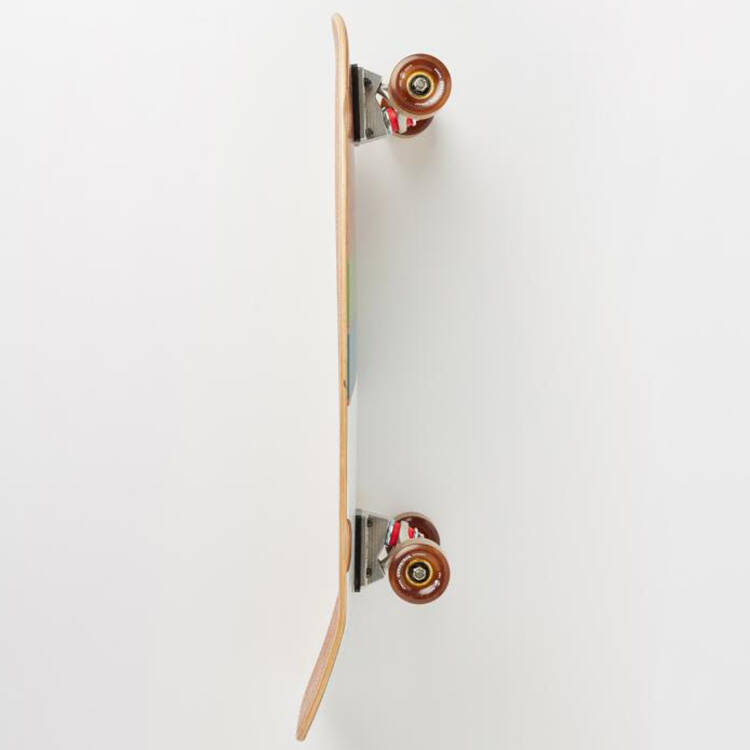Arbor Hybrid Foundation Oso Complete Longboard - 30''