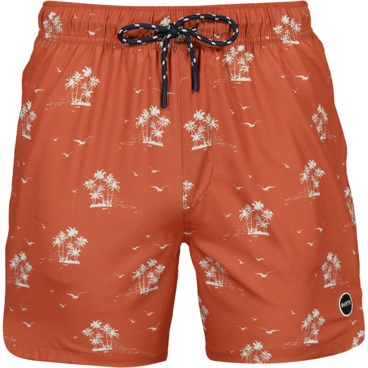 Barts Falls Swimming Shorts - Terra