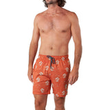 Barts Falls Swimming Shorts - Terra