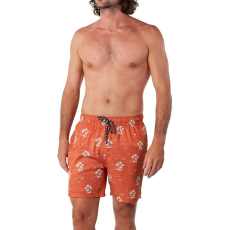 Barts Falls Swimming Shorts - Terra