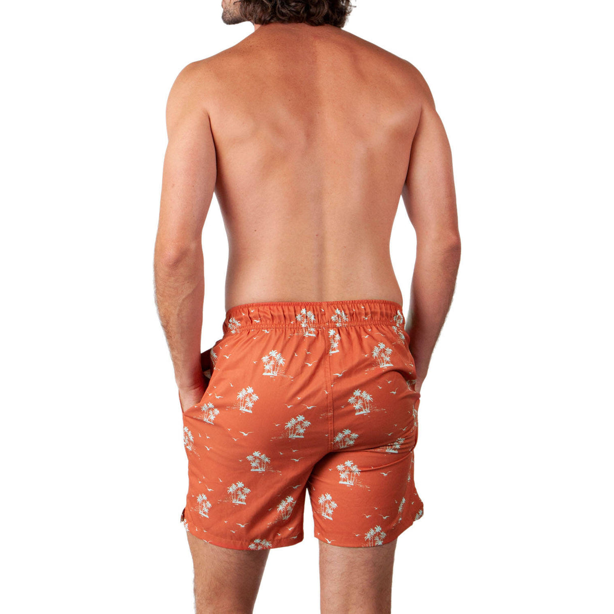 Barts Falls Swimming Shorts - Terra