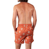 Barts Falls Swimming Shorts - Terra