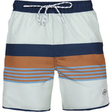 Barts Pacose Swimming Shorts - Vapour Blue