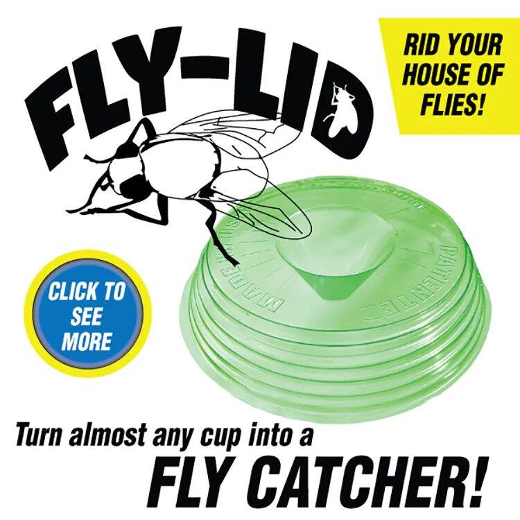 Fly Capture Lids (2 Pack)