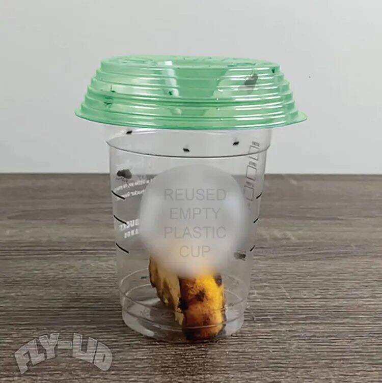 Fly Capture Lids (2 Pack)
