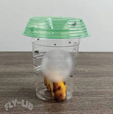 Fly Capture Lids (2 Pack)