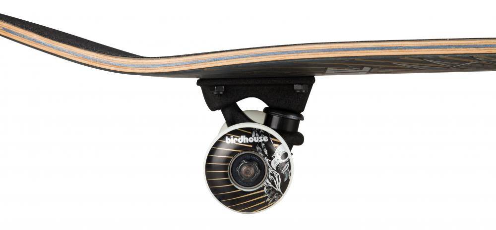 Birdhouse Stage 3 Hawk Wings Complete Skateboard - 7.75''
