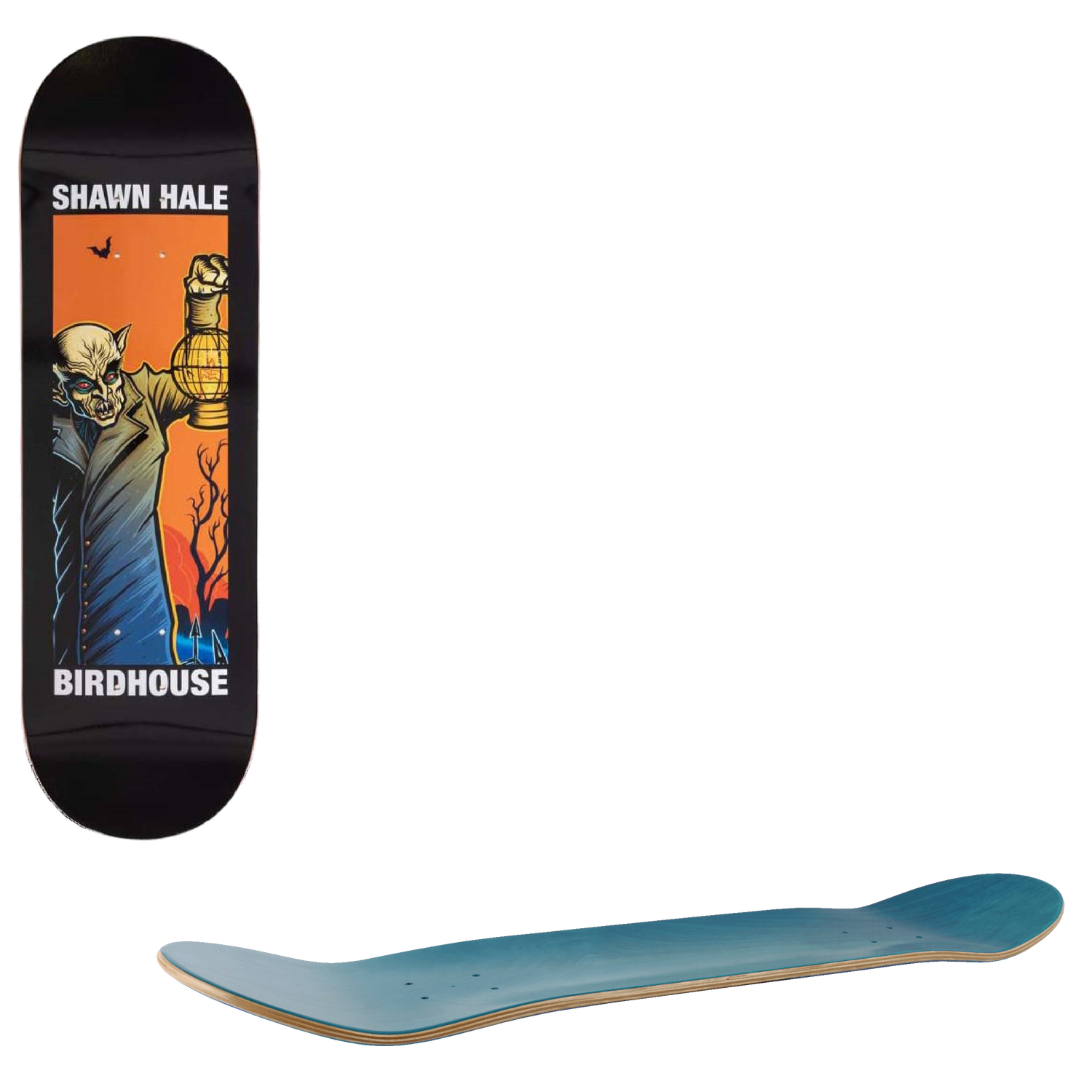 Birdhouse Second Life Skateboard Deck - Hale 8.75"